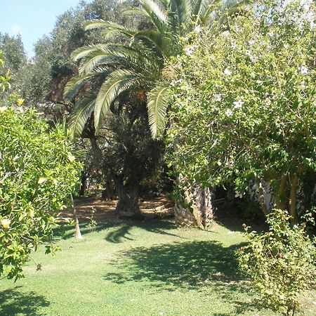 פלאקיאס Livadi Apartments מראה חיצוני תמונה