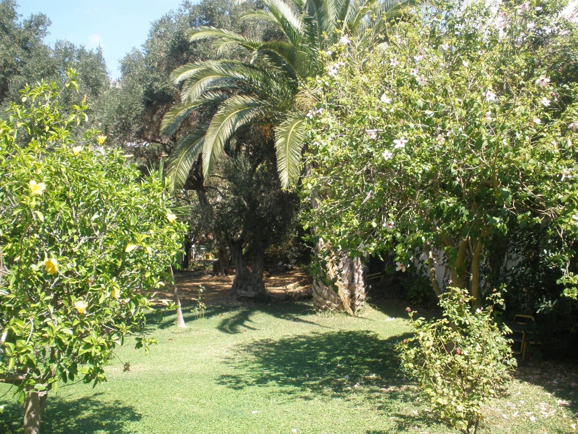 פלאקיאס Livadi Apartments מראה חיצוני תמונה