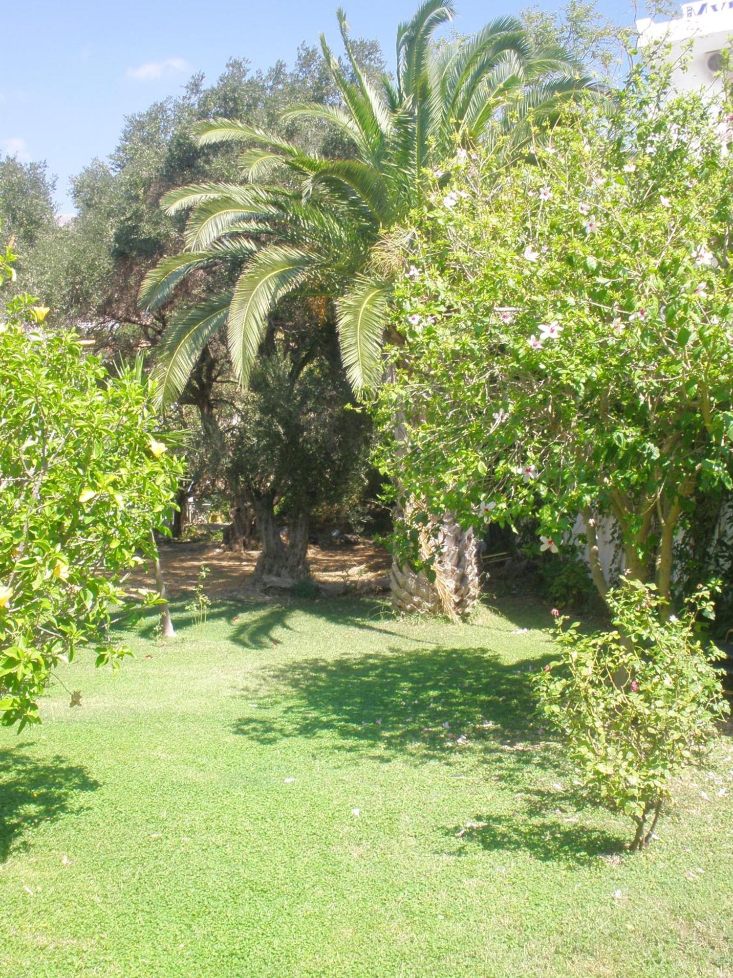 פלאקיאס Livadi Apartments מראה חיצוני תמונה