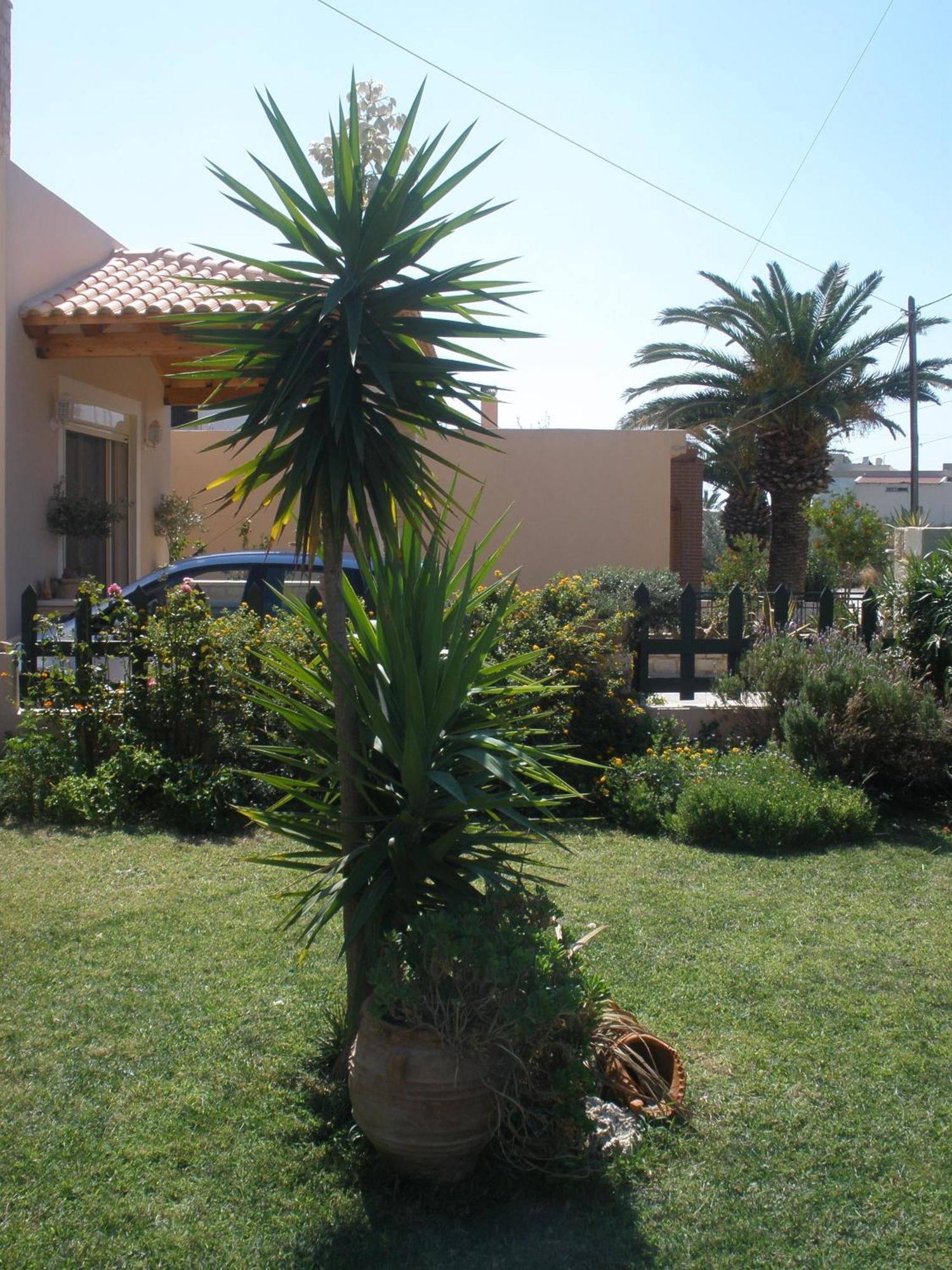 פלאקיאס Livadi Apartments מראה חיצוני תמונה