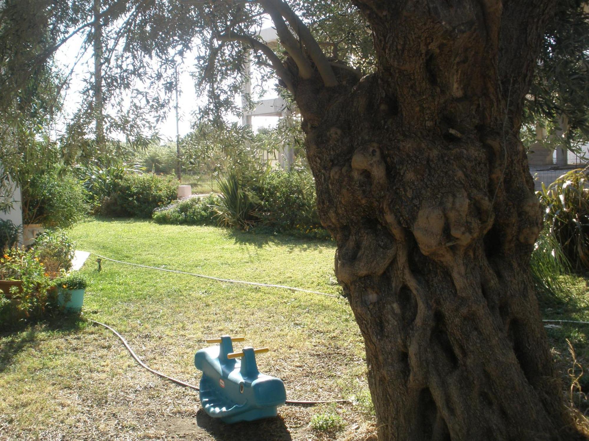 פלאקיאס Livadi Apartments מראה חיצוני תמונה