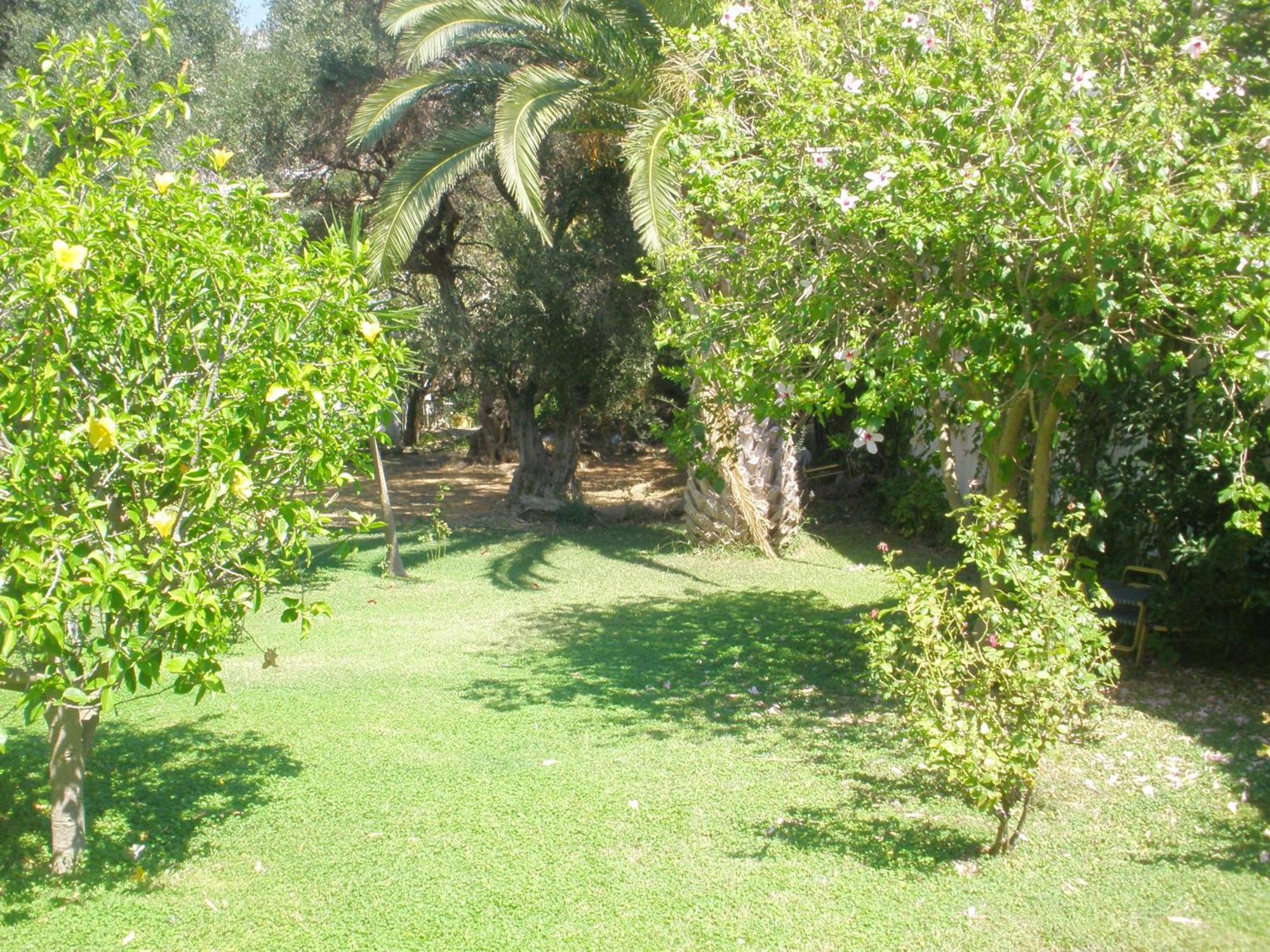 פלאקיאס Livadi Apartments מראה חיצוני תמונה