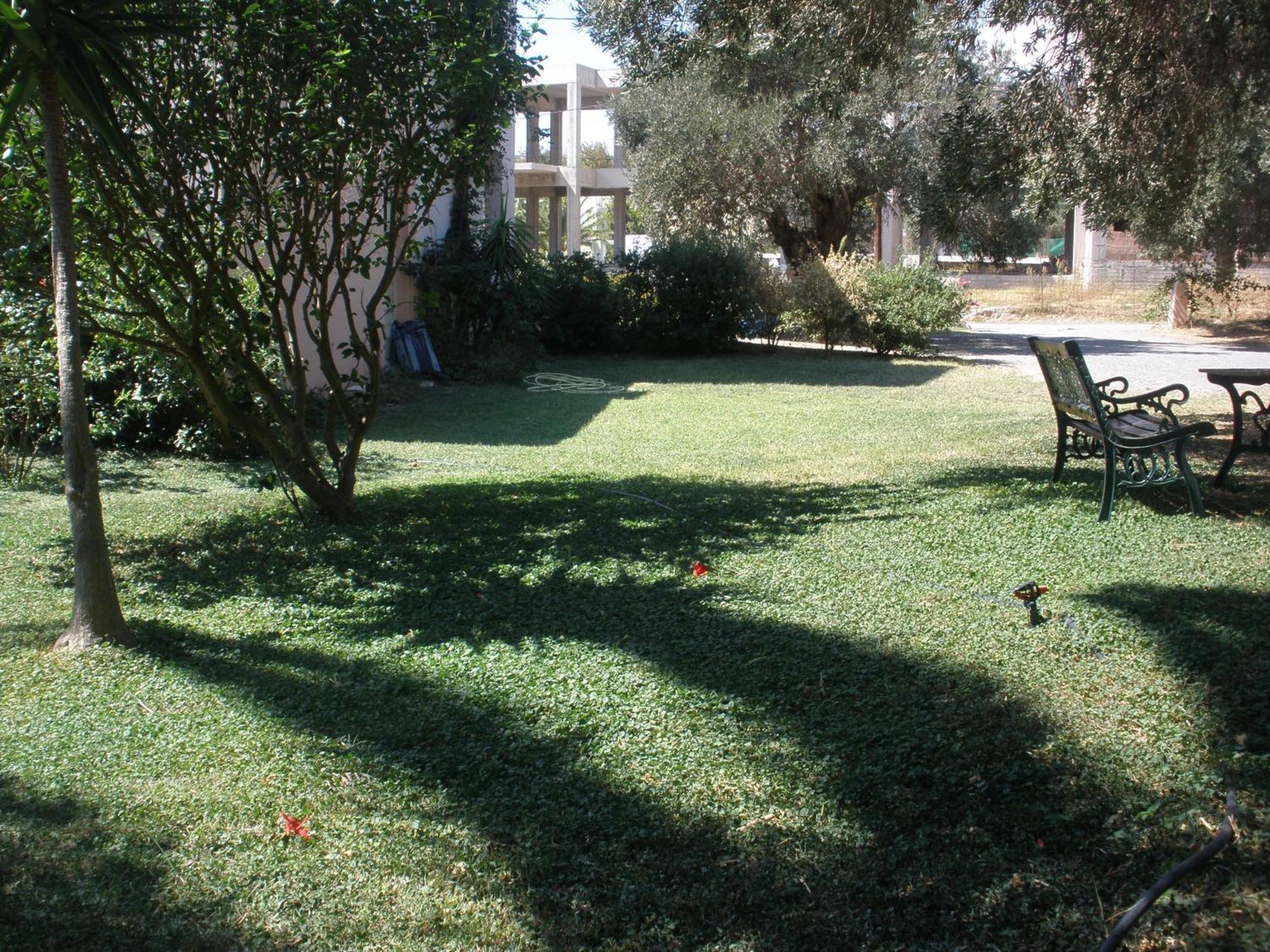 פלאקיאס Livadi Apartments מראה חיצוני תמונה
