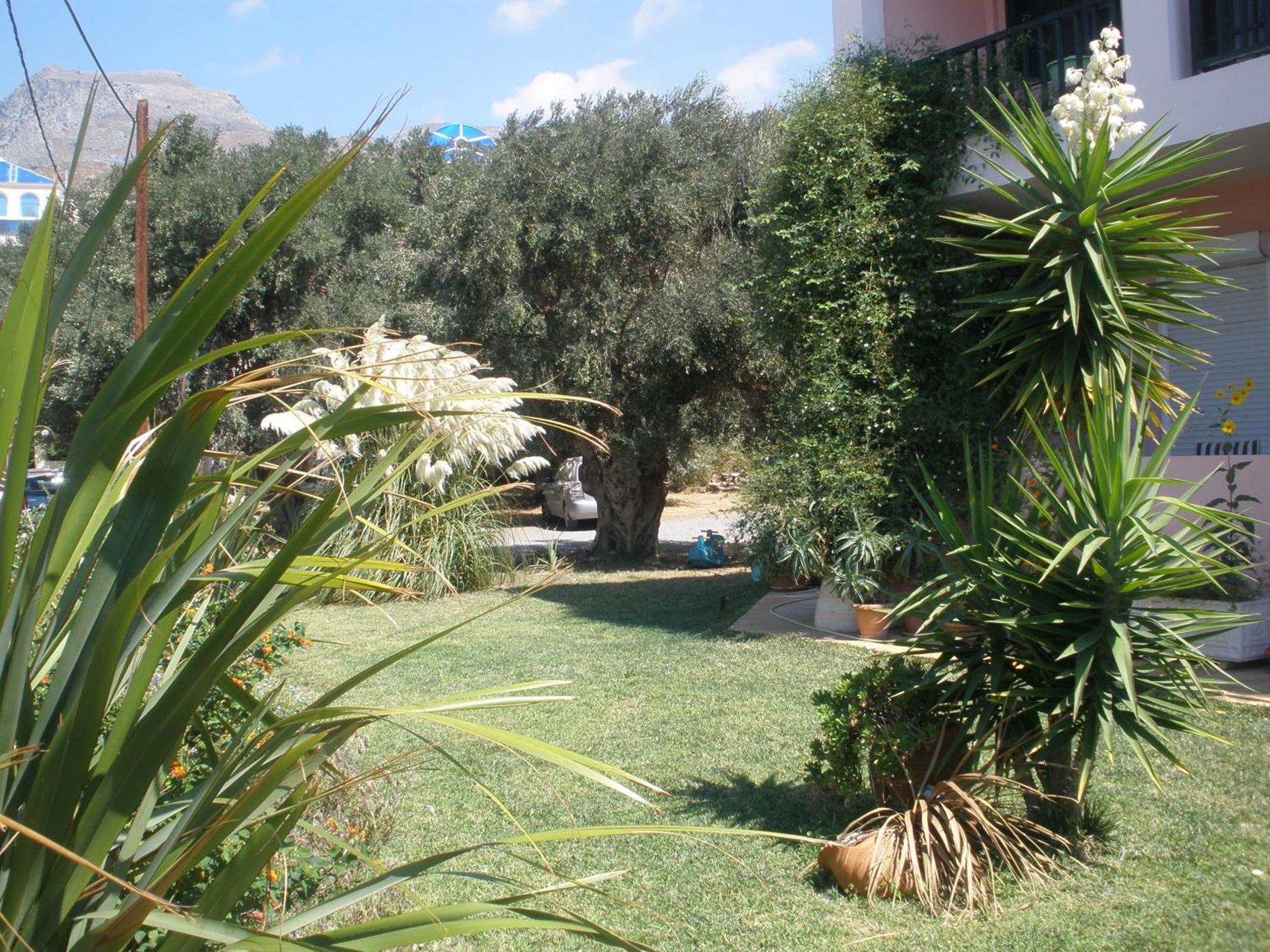 פלאקיאס Livadi Apartments מראה חיצוני תמונה